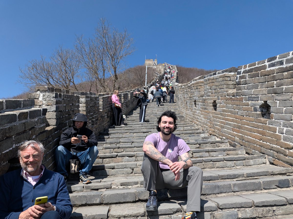 Regelegorila tweet media