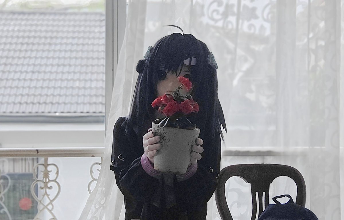 ゴシュロカン tweet media