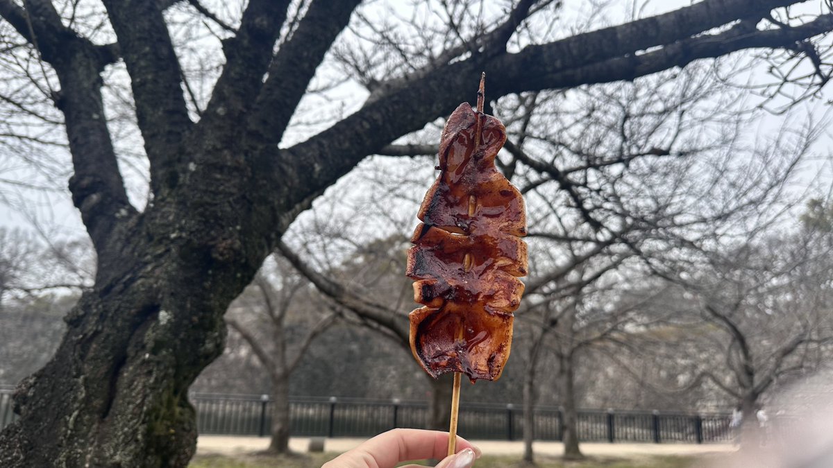 リ丸🍎・ⅹ・ tweet media