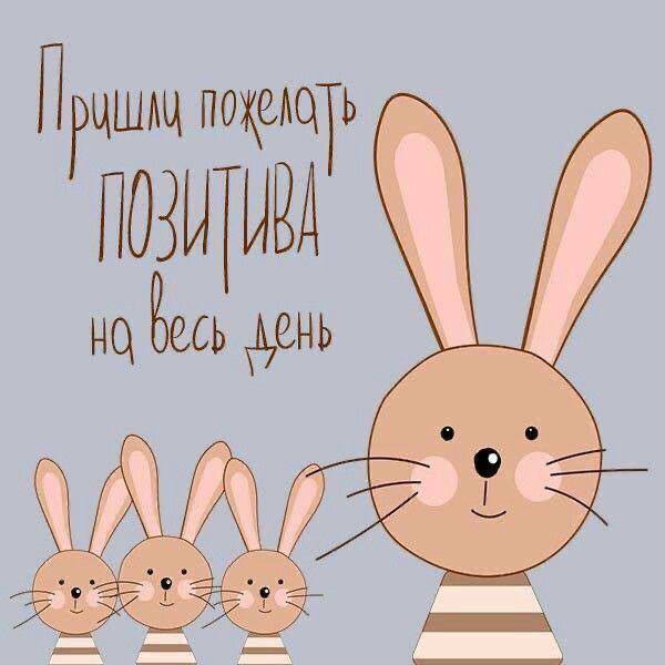 Софьина Татьяна 🇷🇺 tweet media