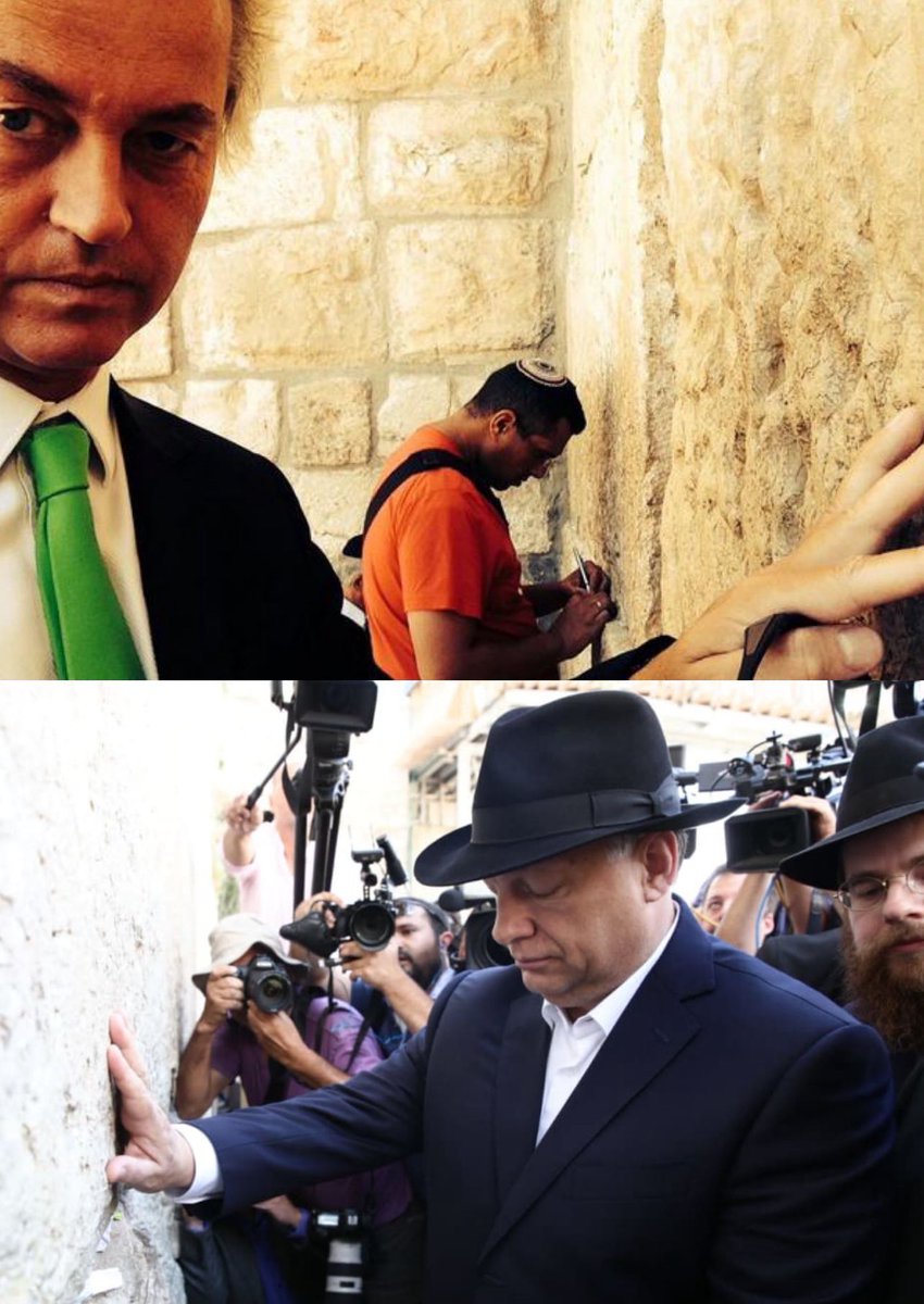 Comrade Vanilla tweet media