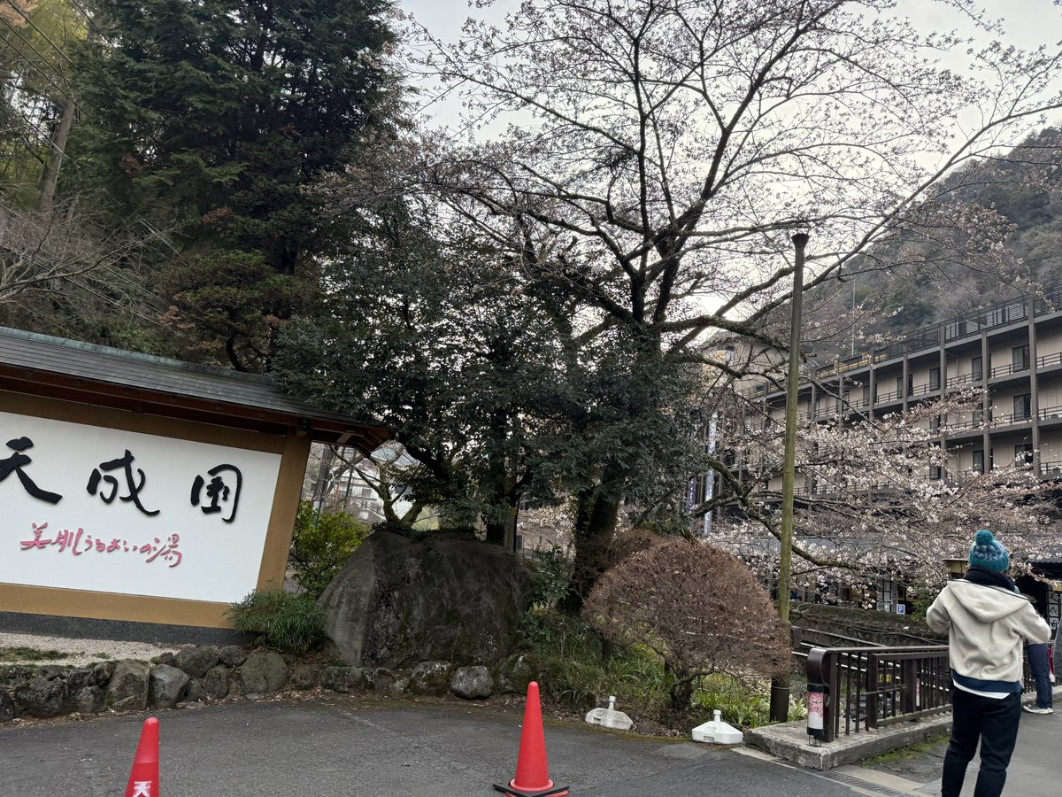 ととのん tweet media