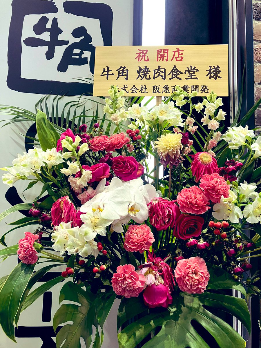 momo🍑 tweet media