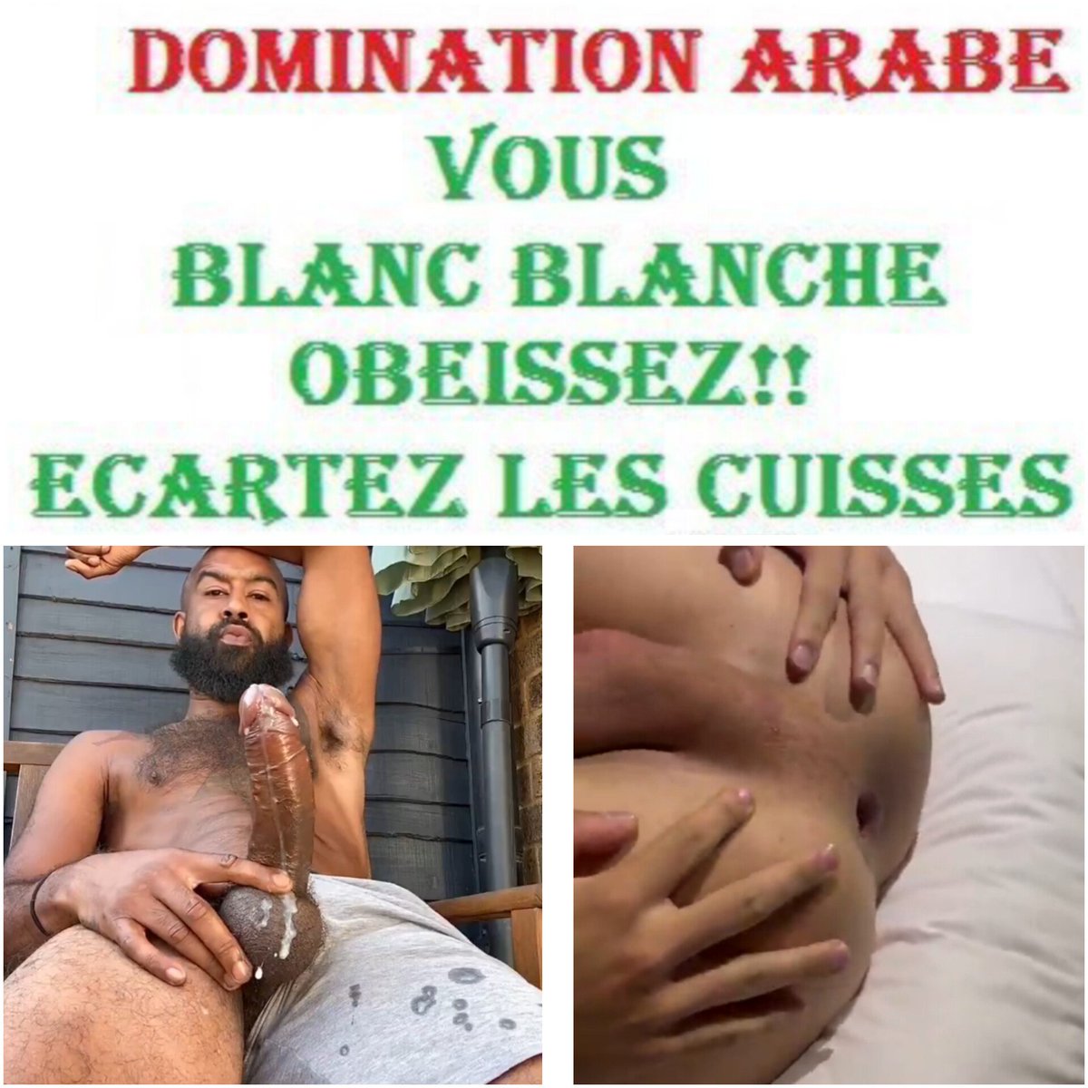 Maitre ILYAS tweet media