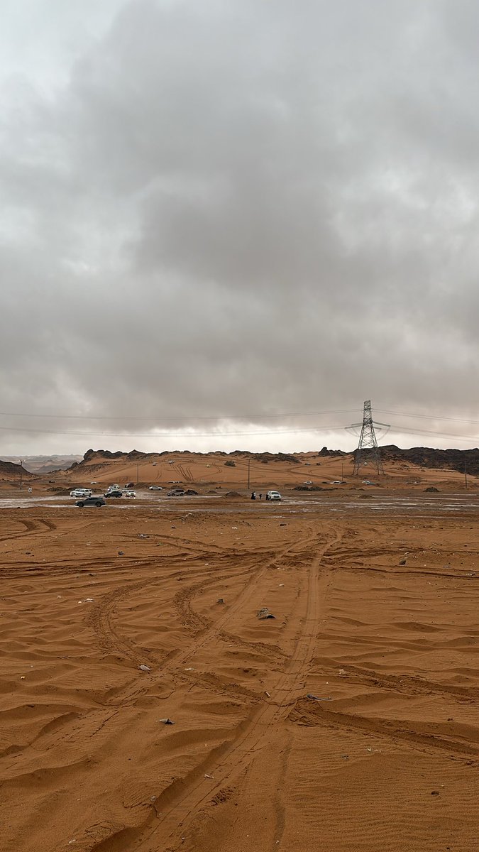 عبدالمجيد tweet media