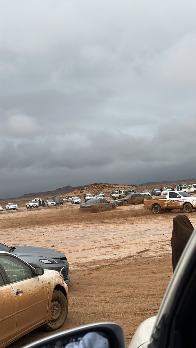 عبدالمجيد tweet media