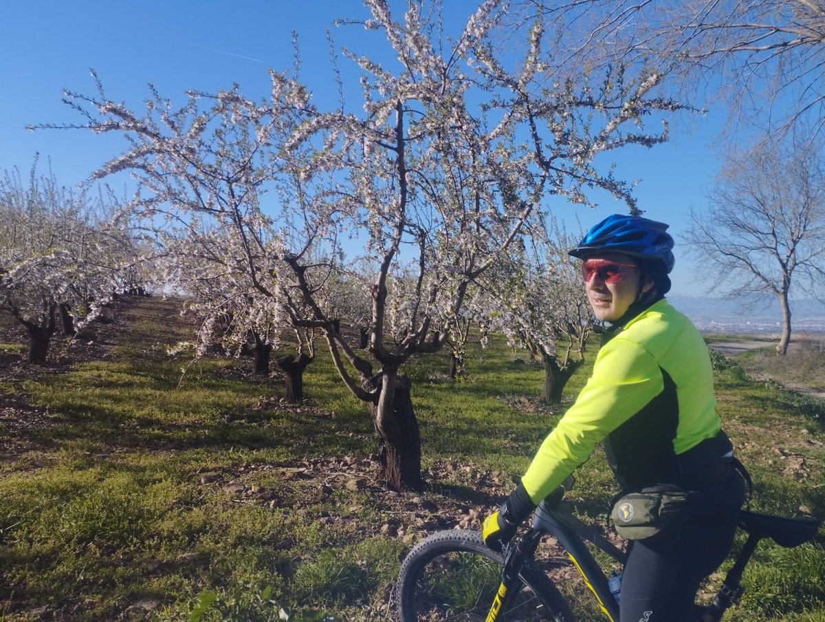 Sanzot 431 tweet media