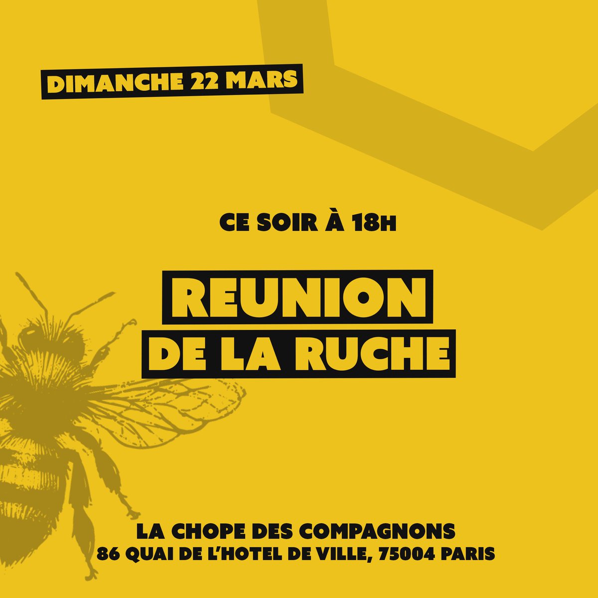 Ruche Paris Médias tweet media