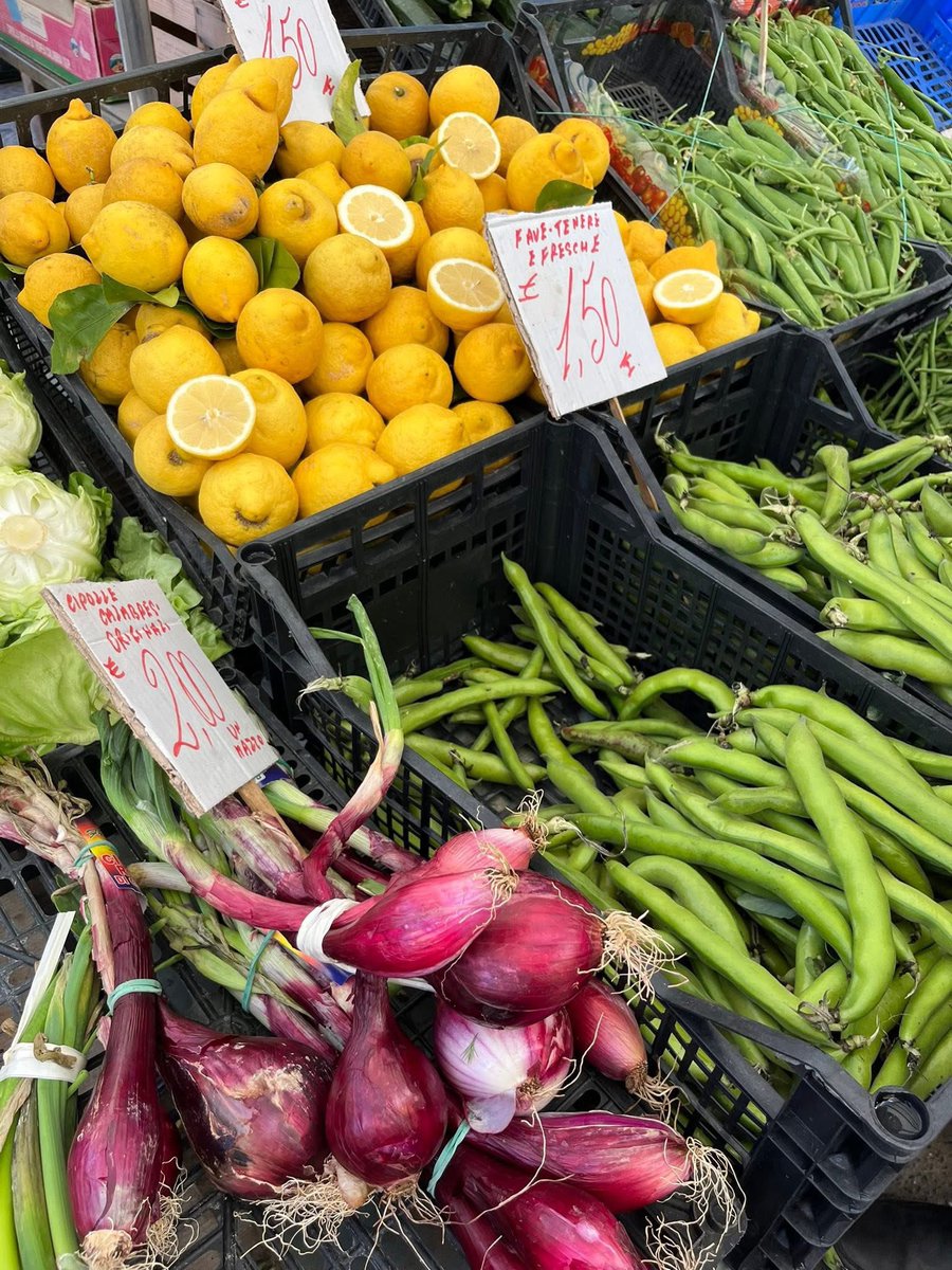 WhiteAlmondSicily 🌺 tweet media