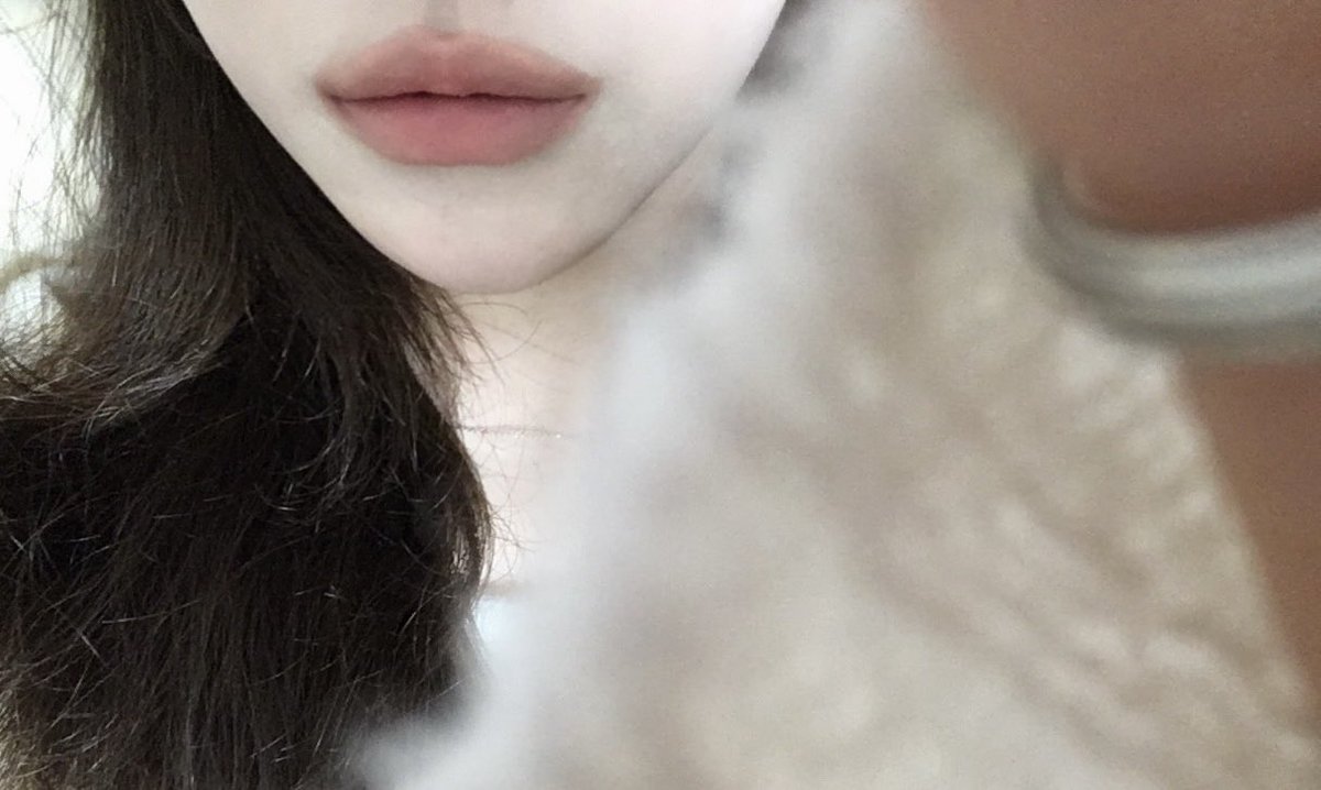 나비 Si3 tweet media