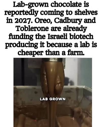 <a href="/AllBiteNoBark88/">The White Rabbit Podcast 🐇</a> Yeah, that's not the only reason you should boycott Cadbury's