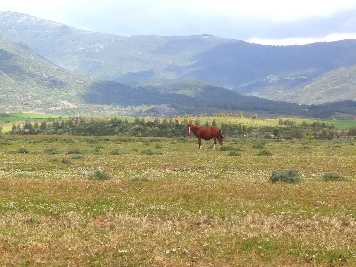 DaniaRess's tweet image. Senza fretta è Domenica
🌷🌷🌱⚘️🪻🌺🌼🌻🌺

#NatureVibes 
#Ilovespring