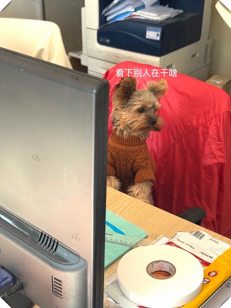 Shitij Gupta tweet media