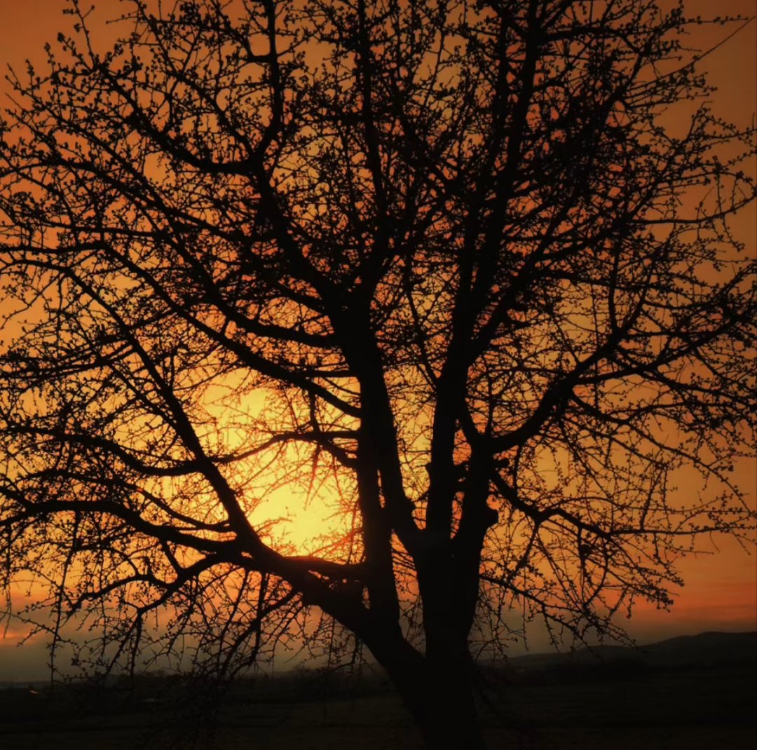 ΛΕΝΑΚΙ tweet media