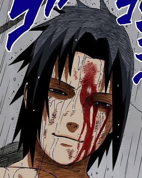 Treetabix tweet media