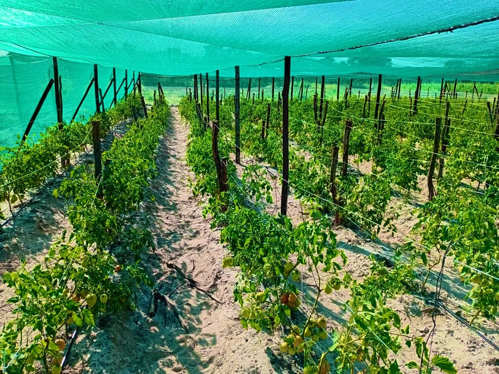 VillageGuyWithAComputer! tweet media