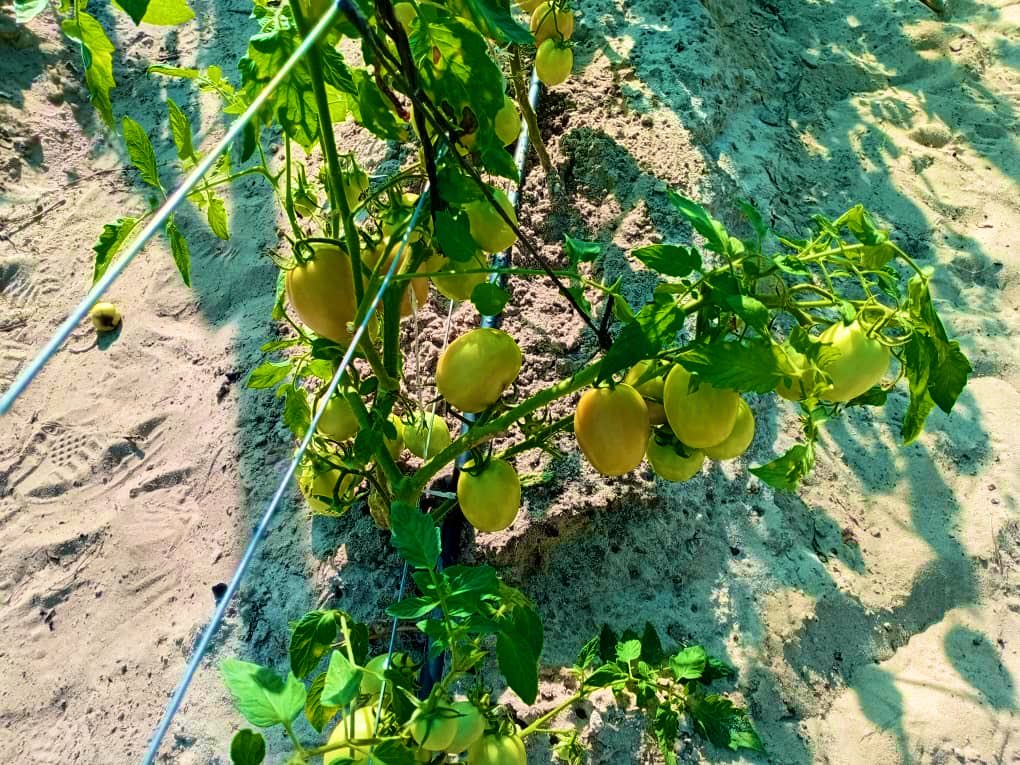 VillageGuyWithAComputer! tweet media