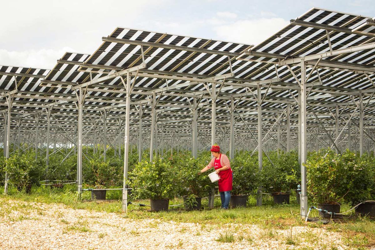 Markus Wurzer tweet media