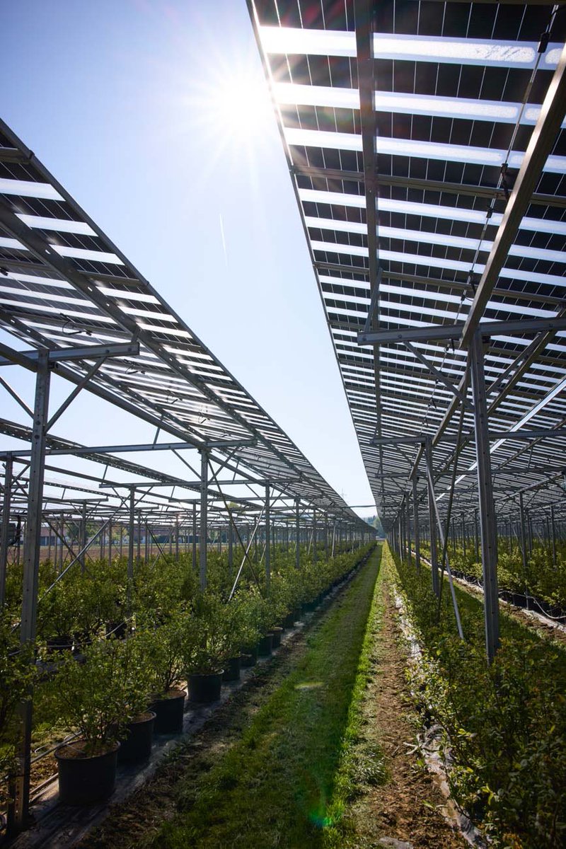 Markus Wurzer tweet media