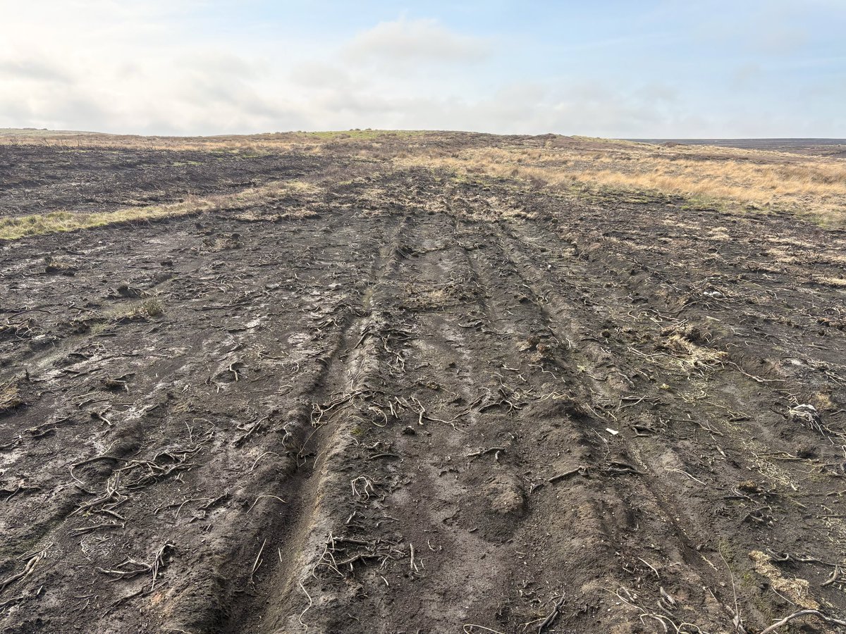 Jim Leary tweet media