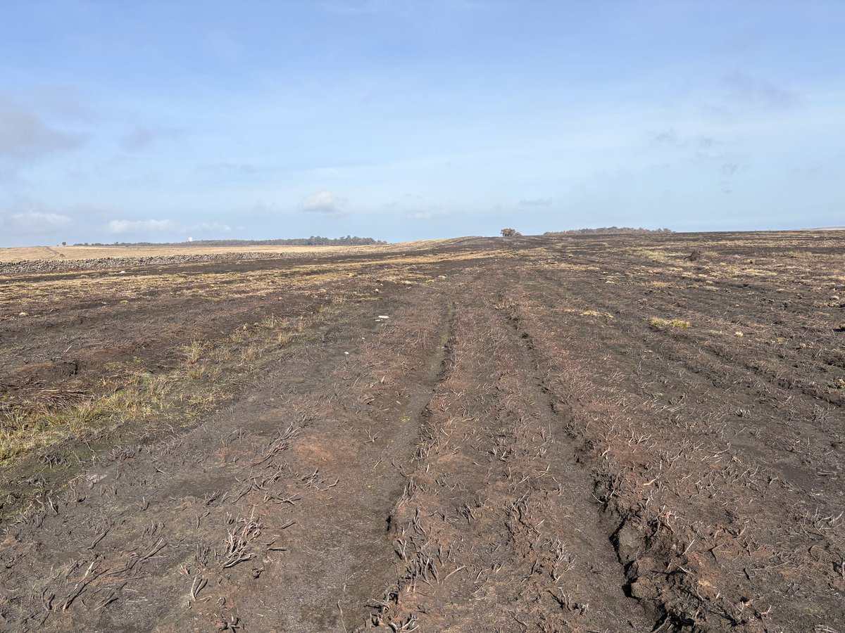 Jim Leary tweet media