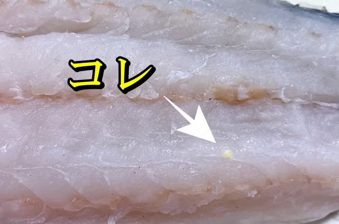 富士南麓人@脳内フルチタンパーツ強化済み tweet media