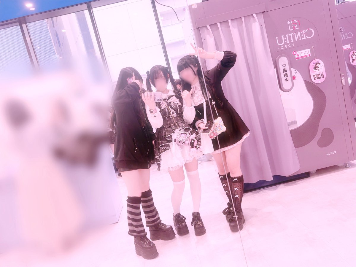 犬派♩ tweet media