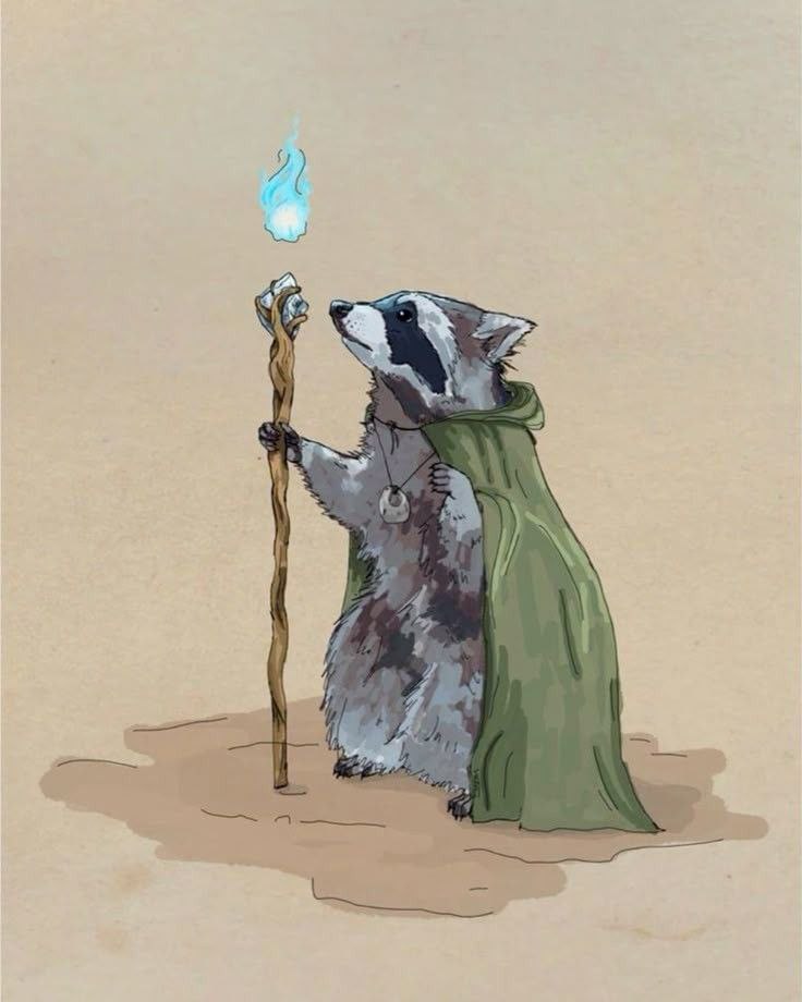 raccoon with confusing auras tweet media