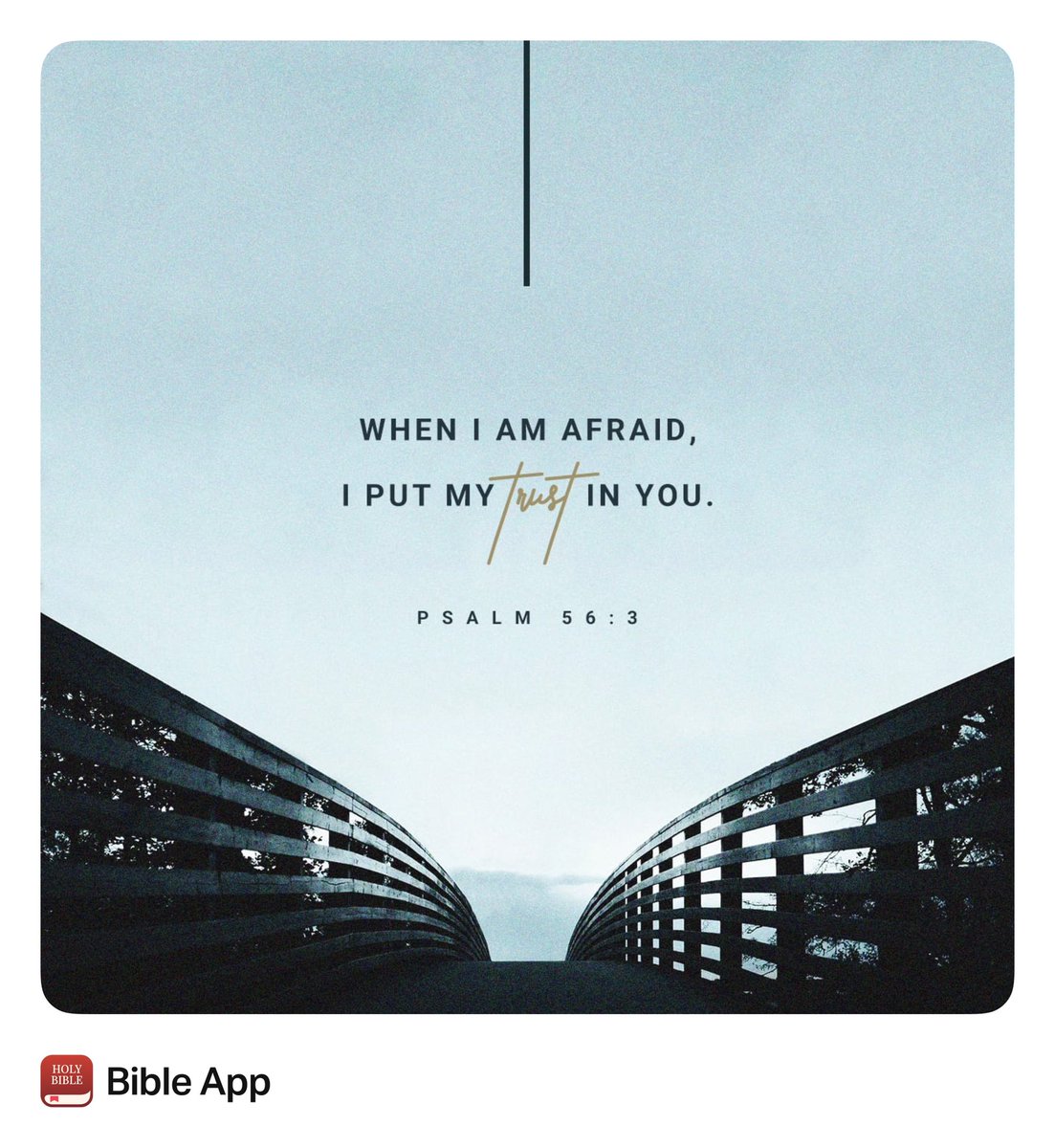 IyanuOluwa Paul Durogbola tweet media