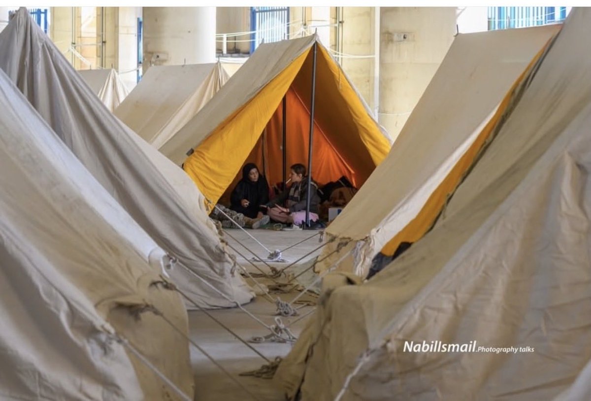 Nora Joumblatt tweet media