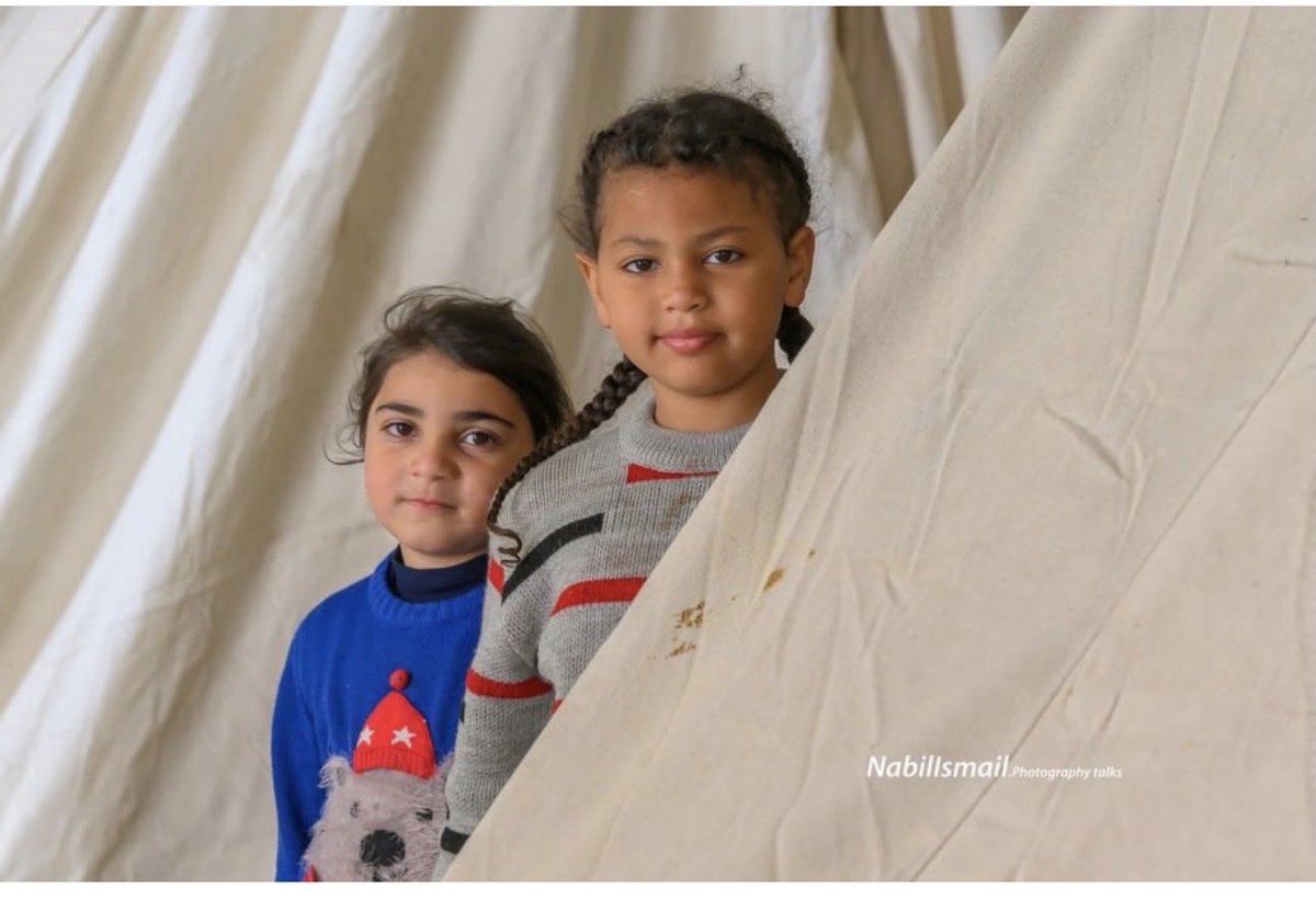 Nora Joumblatt tweet media