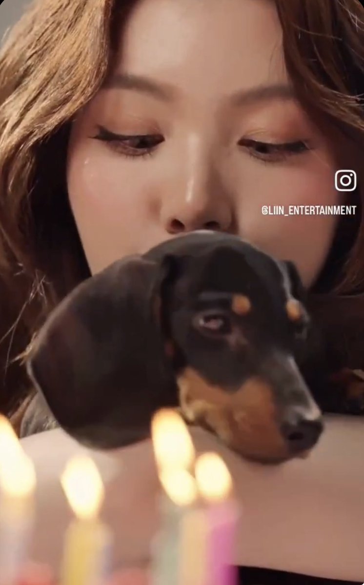 𝙺𝙸𝙼•𝙹𝙻LO🥀 tweet media