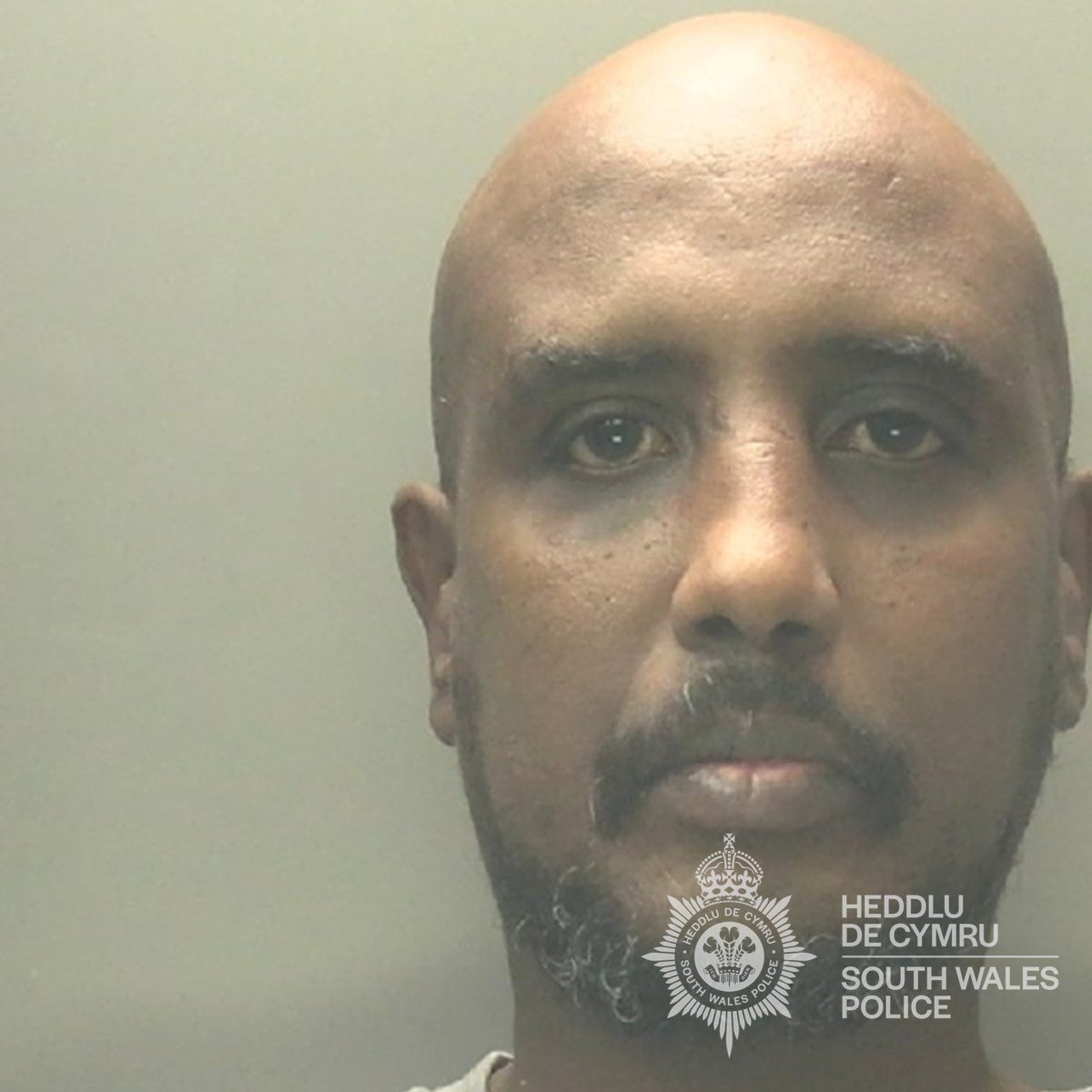 Deport Foreign Criminals tweet media