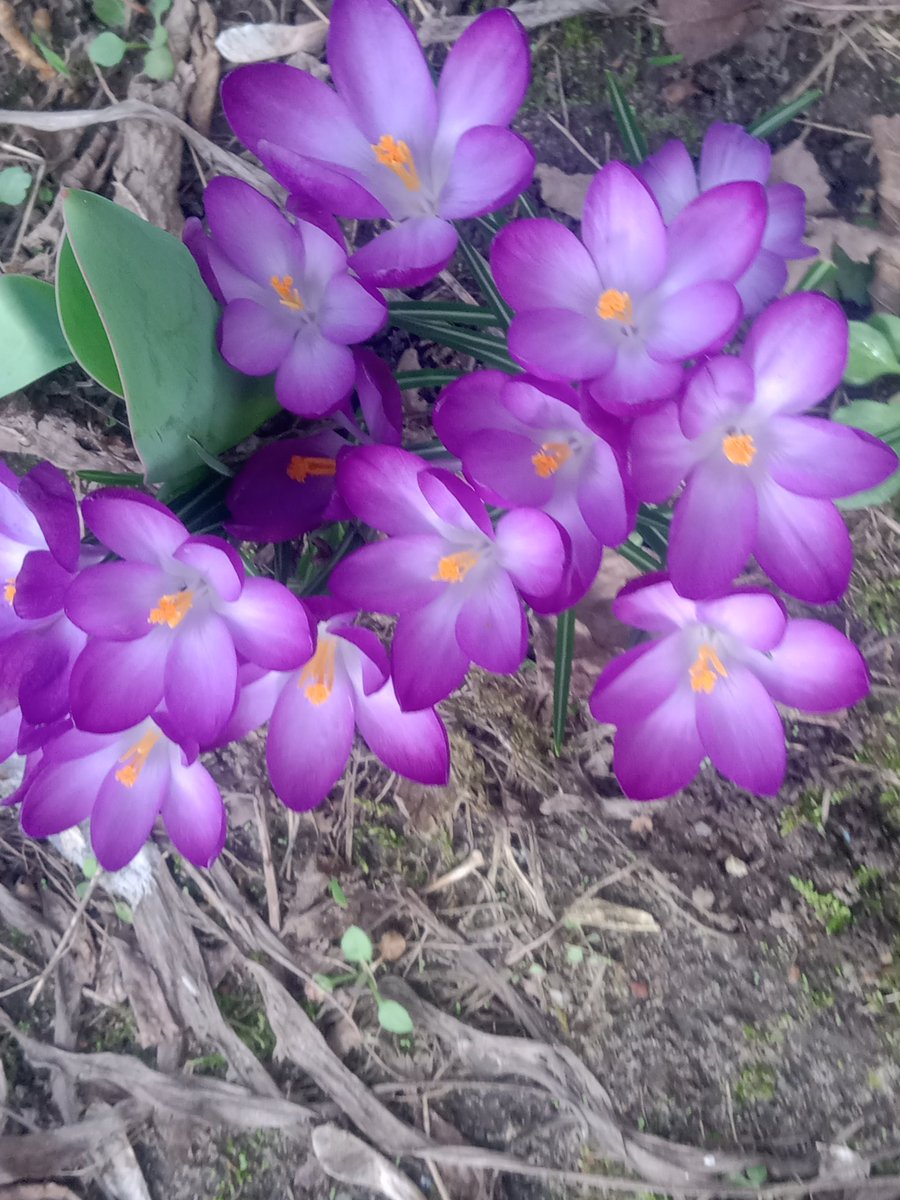 Barbara Prazka ✝️ tweet media