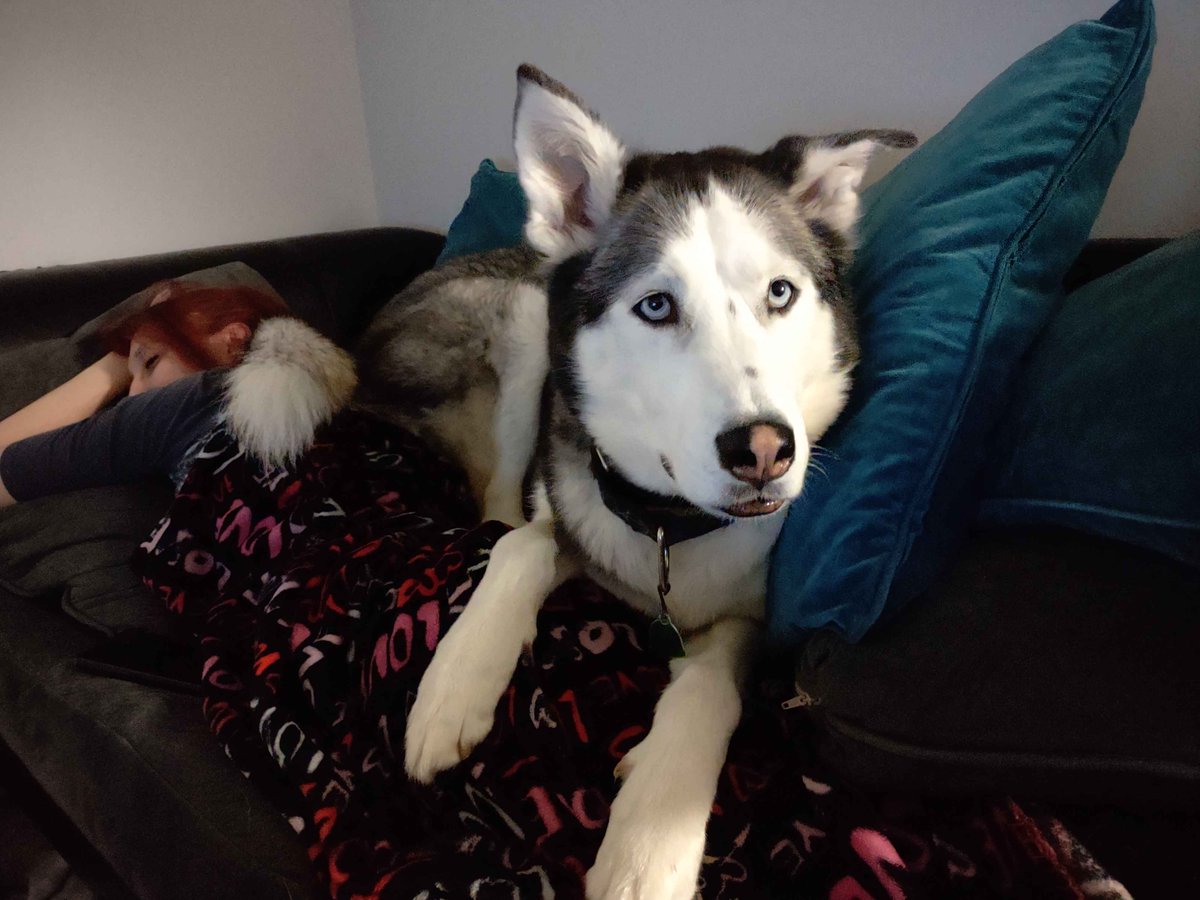 Coach Absolution tweet media