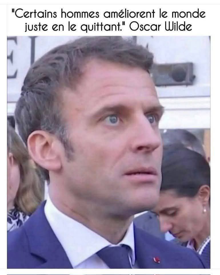 Noëlie la Lupa tweet media