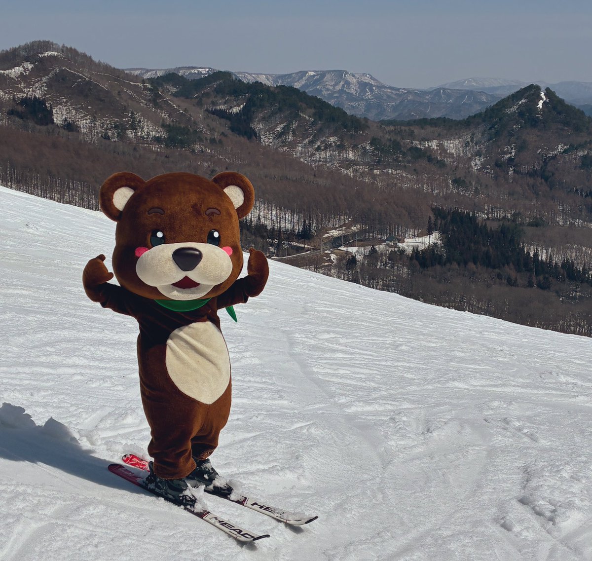 会津高原だいくらスキー場 tweet media