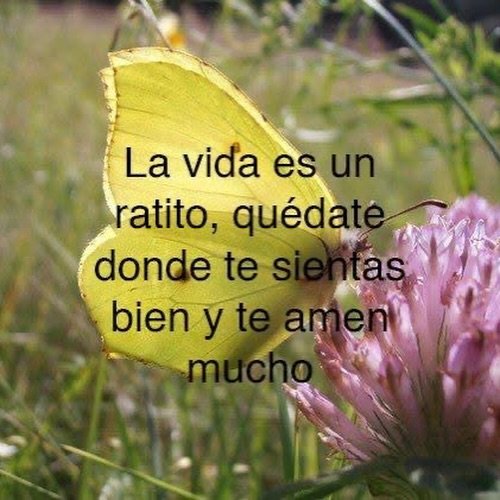 bauldefrases (@suspirxsalaire) on Twitter photo 