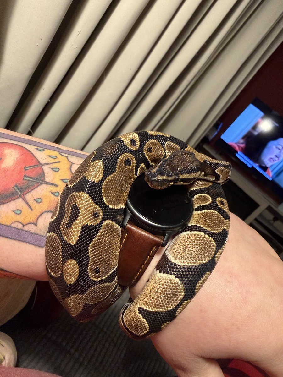 Stars ✨ tweet media