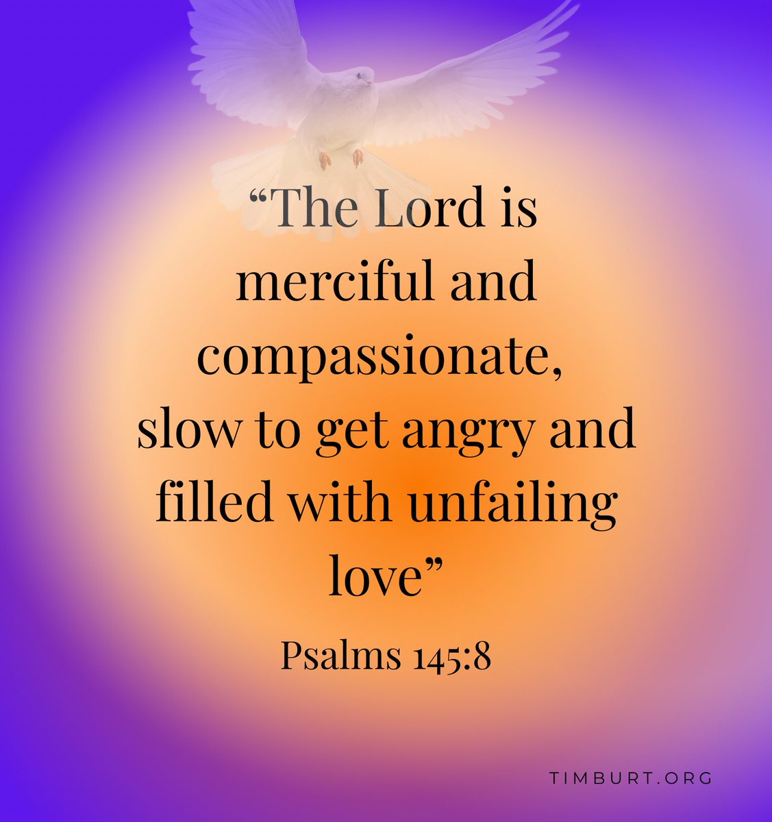 Timothy Burt tweet media