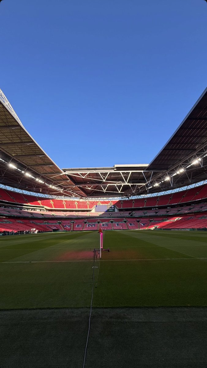 Talking Ball™️ tweet media