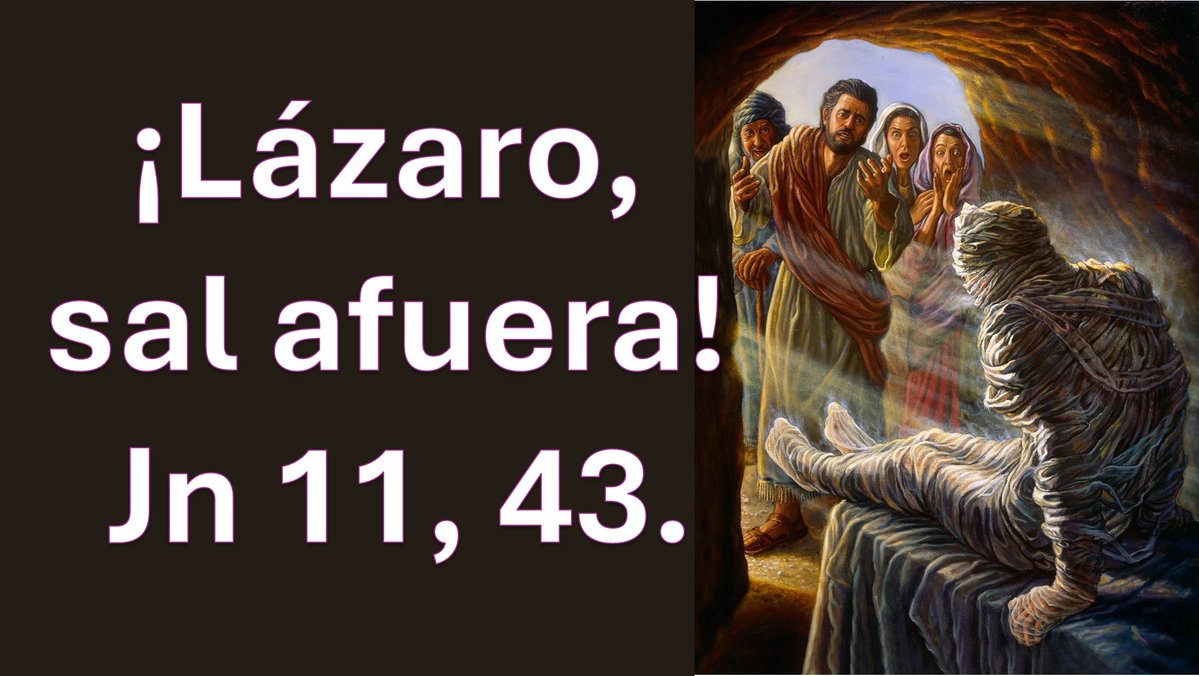 Orar con el evangelio tweet media