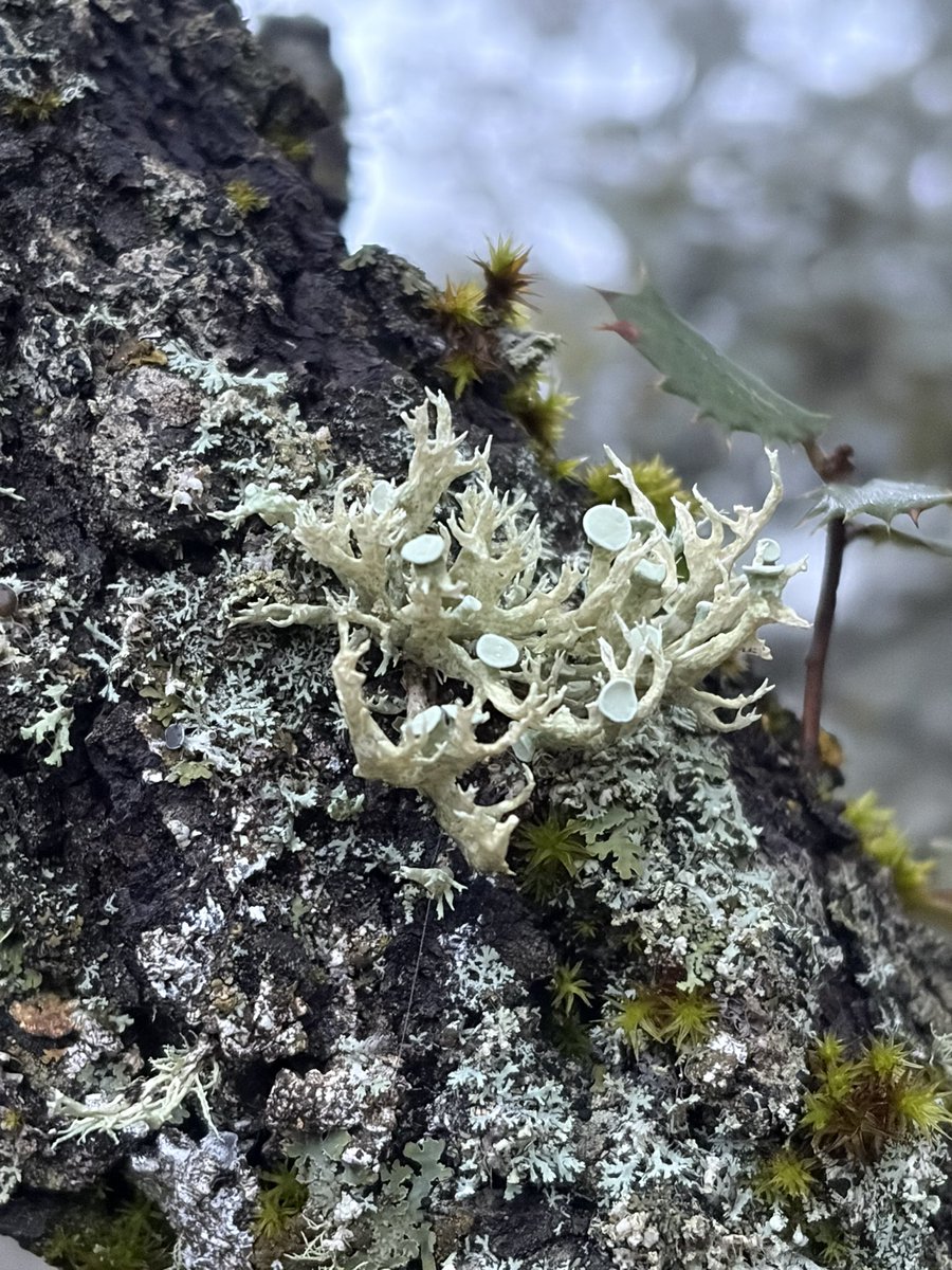 Pablo LMN tweet media