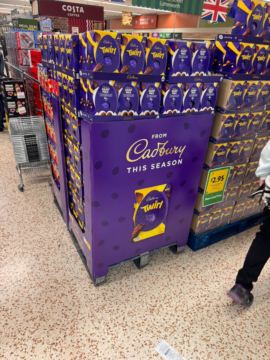 MisterChiton tweet media