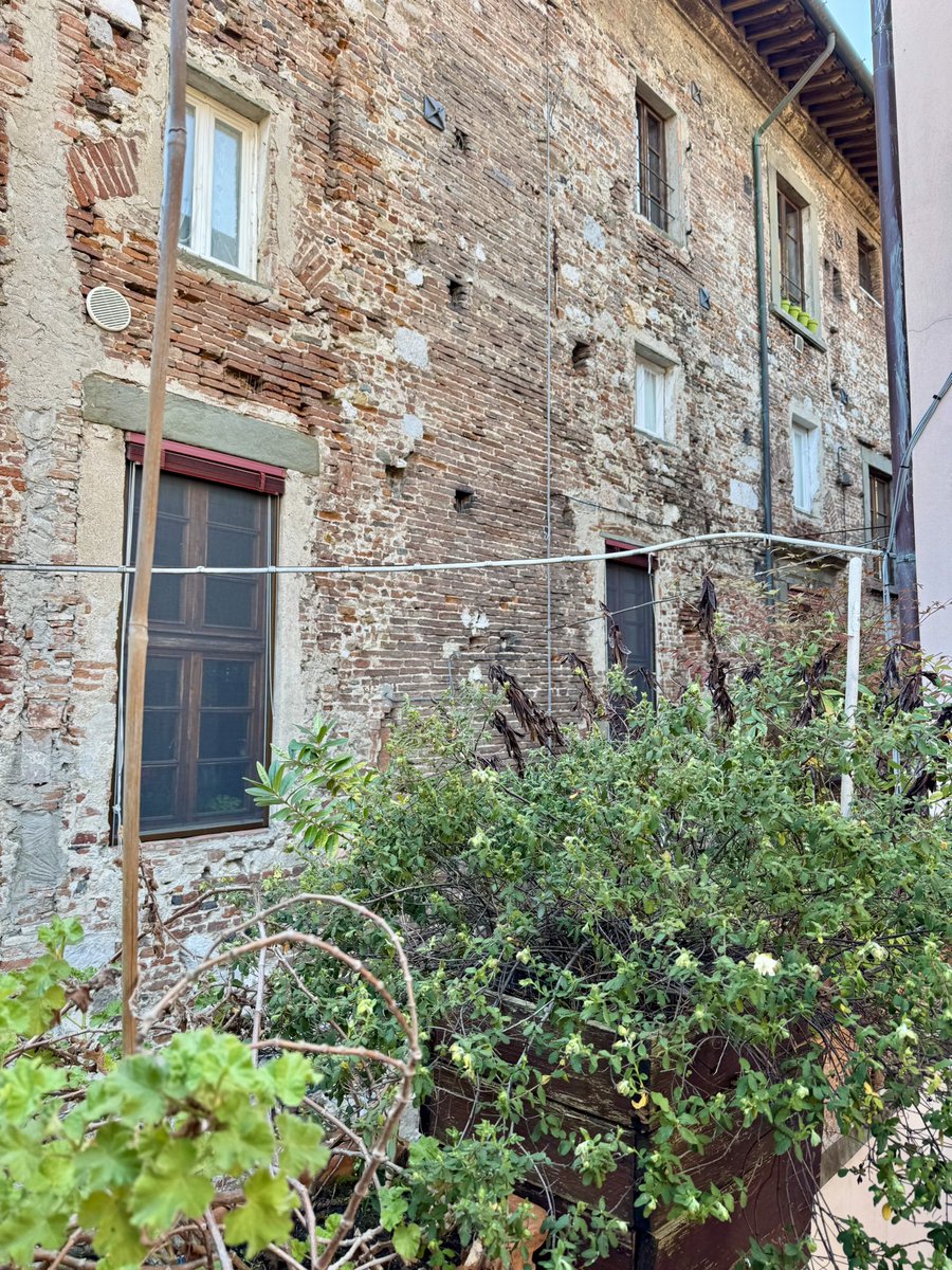 El Capitan🏴‍☠️ tweet media