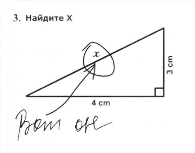 Igor Вице-блогер tweet media