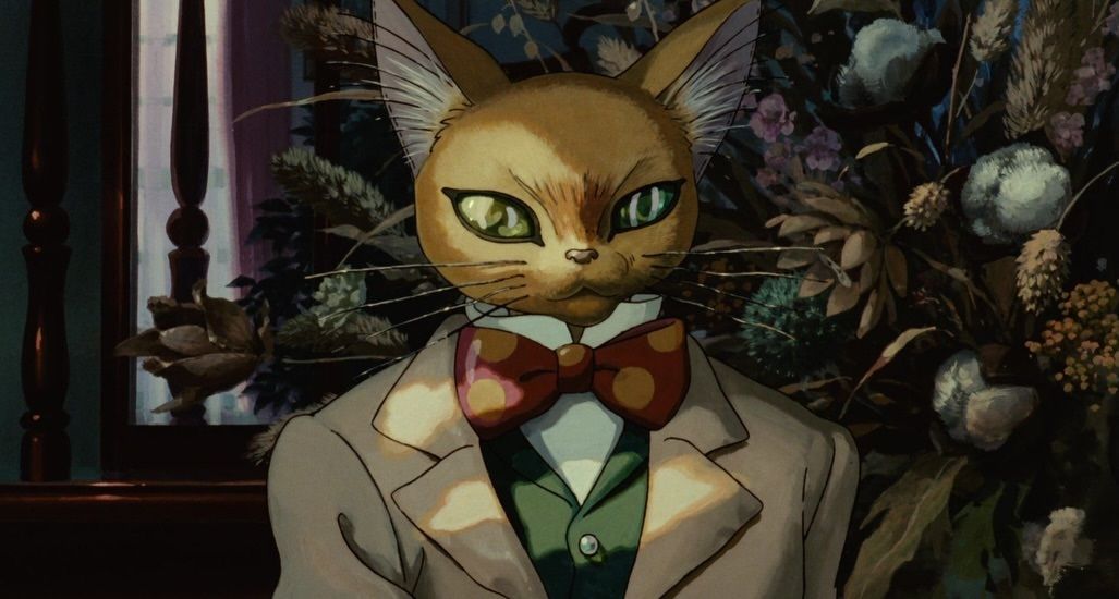 Nature Videos tweet media