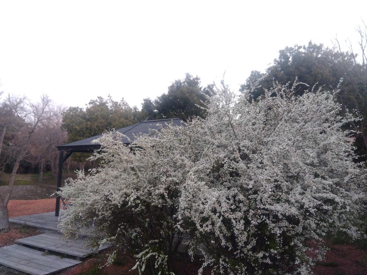 落合左近@関ケ原/蒲生備中、彦根/木俣守勝 tweet media