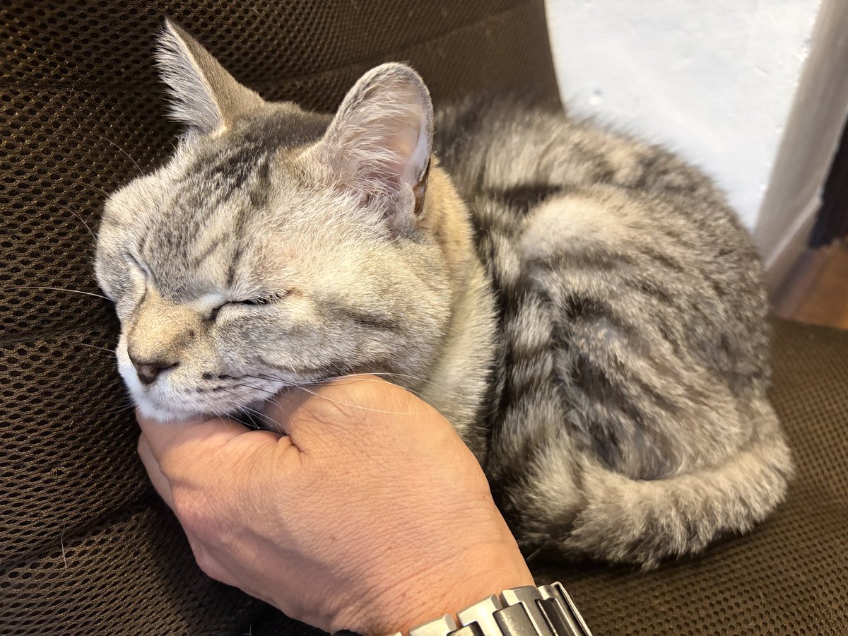 TAC-v-109 tweet media