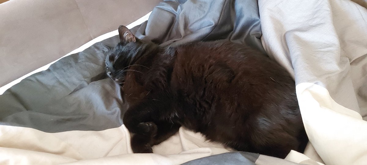 RandоmNaNastya tweet media